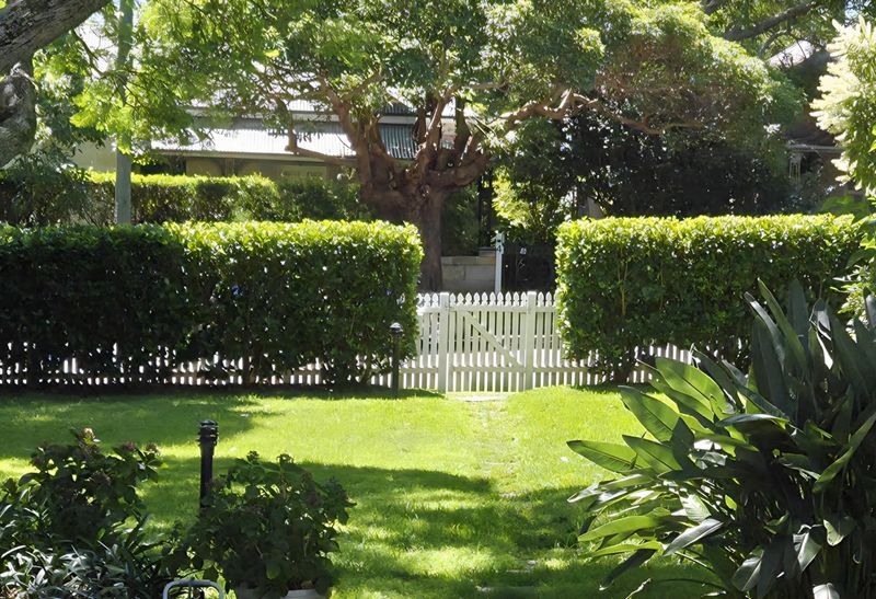 Walter's Viburnum Thrives In South Carolina's Climate