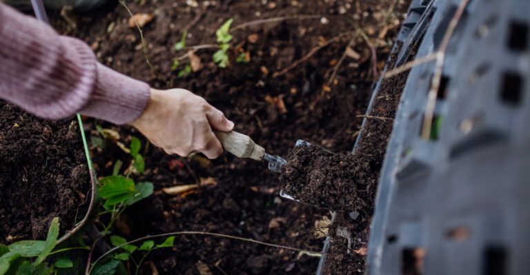composting garden