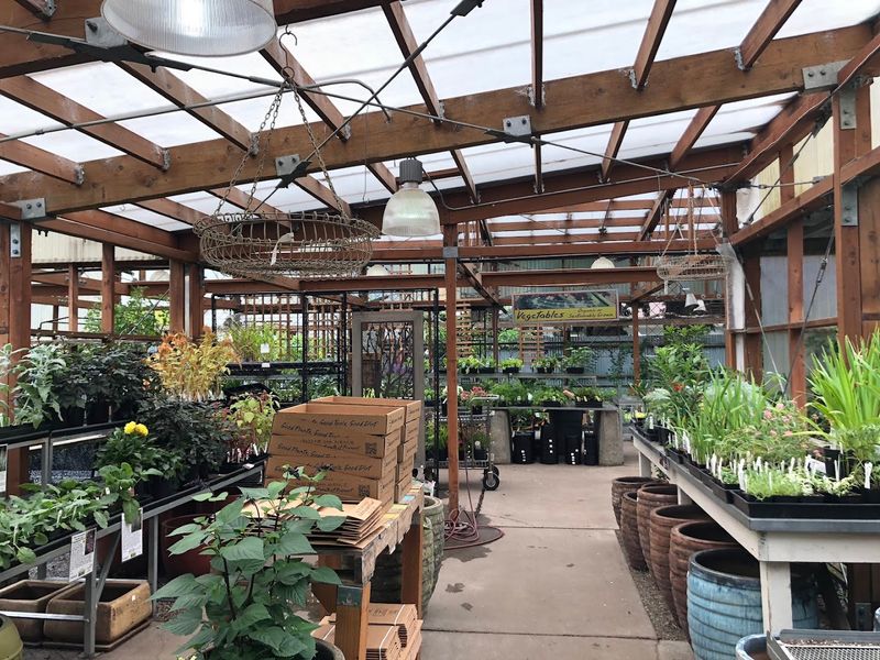 The Plants, Flowers, And Garden Finds Shoppers Get Excited About