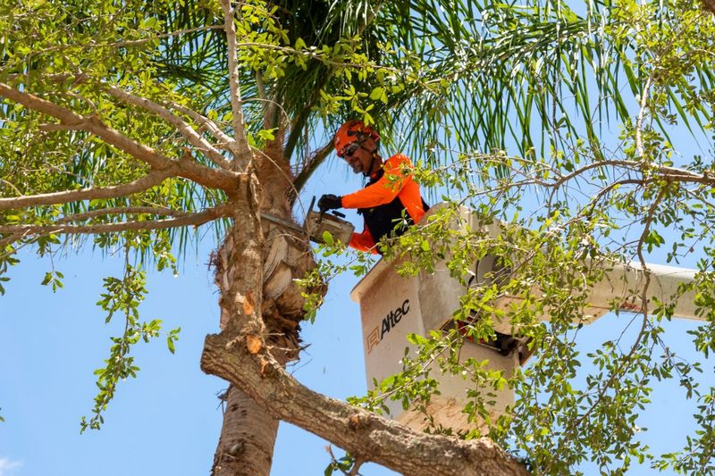 Prevent Nesting Problems With Early Tree Maintenance