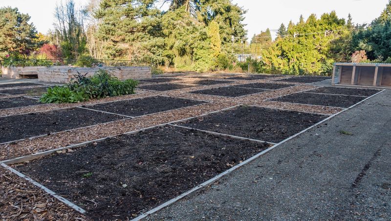 March Exposes Every Bare Spot