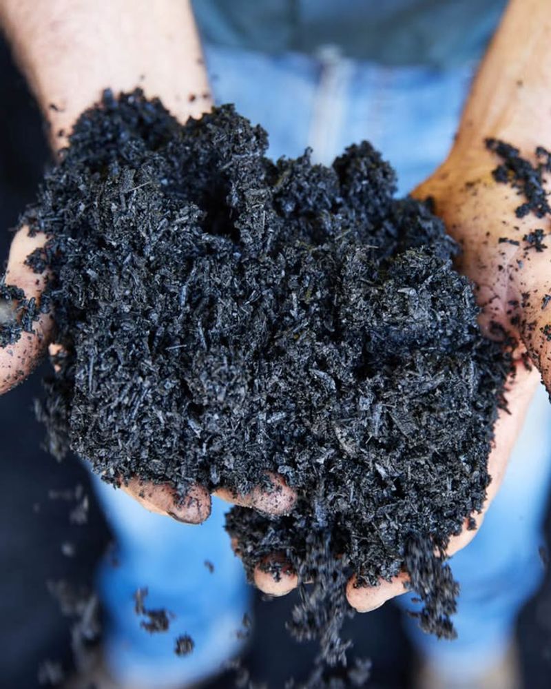 Biochar