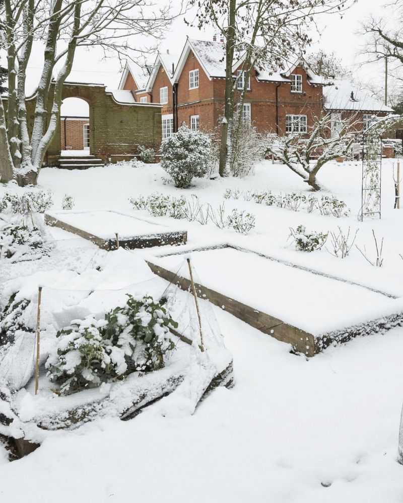 Spring Temperature Swings Make Damage Worse