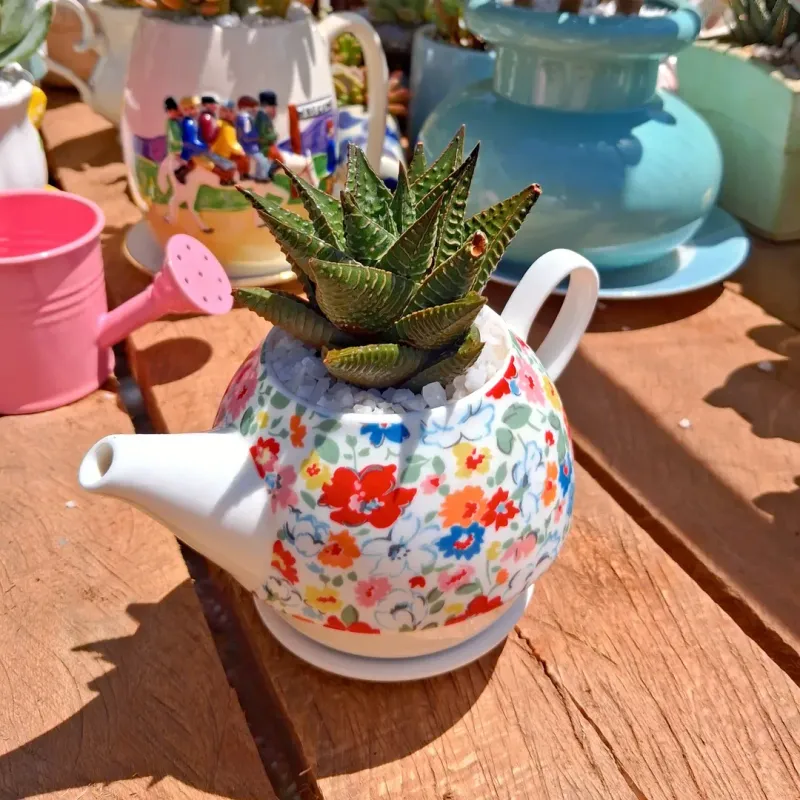 Teapots With Their Charming Storybook Look