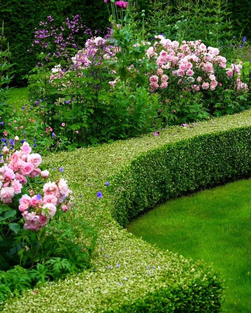 Living Plant Edging