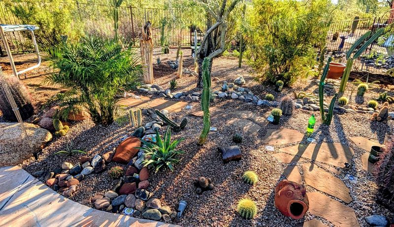 Helps Keep Soil Temperatures More Stable