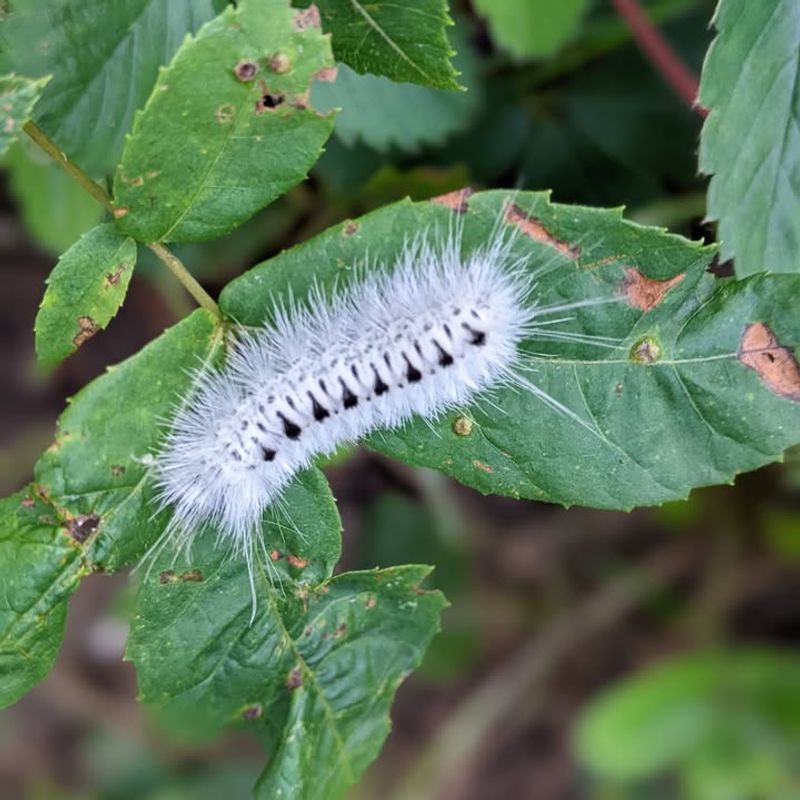 Simple Precautions Keep You Safe