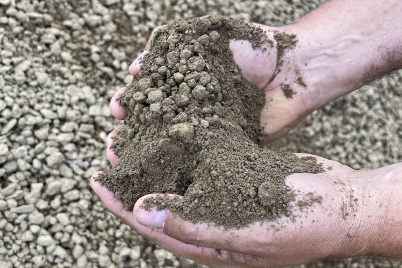 Ignoring Soil Conditions Can Stress Plants