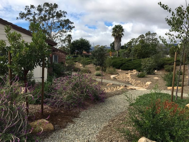 Plan The Yard Around Xeriscape Principles