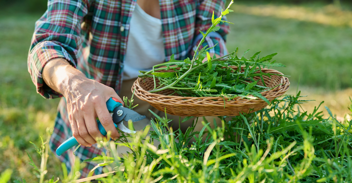 10 Plants You Can Grow Year-Round In South Oregon