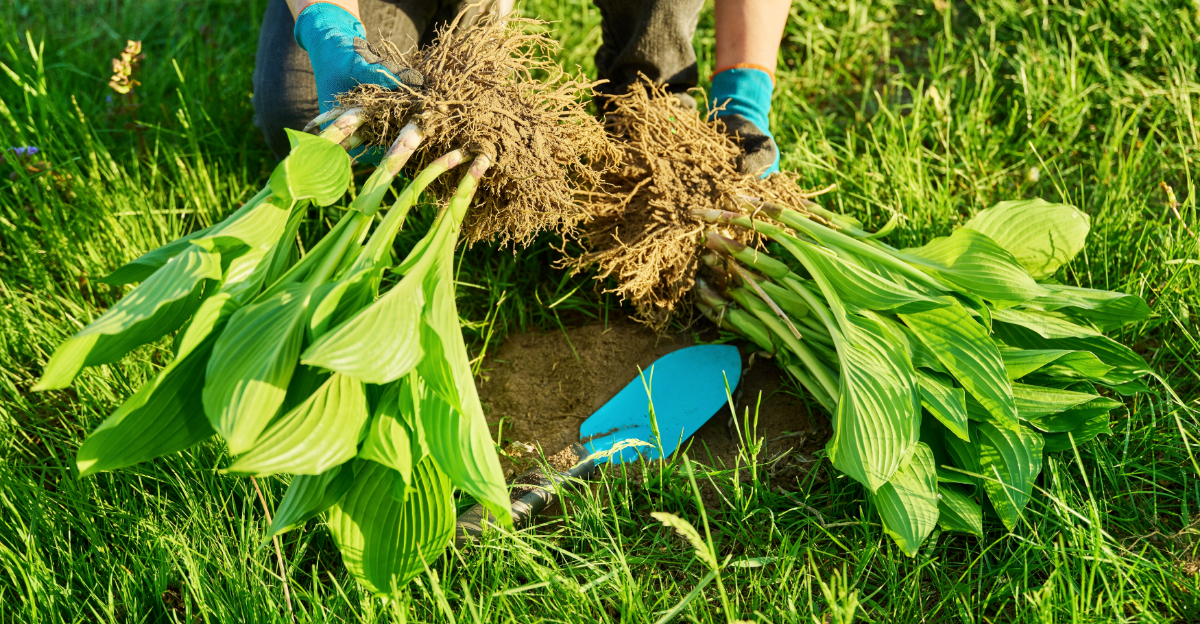 10 Quick Garden Jobs To Finish In April In Georgia