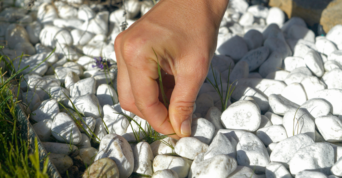 10 Smart Tricks Oregon Gardeners Should Use To Prevent Weeds In Gravel