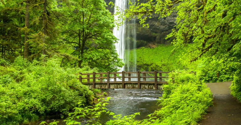 Select size / format Large · 4368 × 2912 pixels 15 × 10 in·300 DPI·JPG Use your plan Image Annual Billed Monthly Subscription - 750 Downloads Per Month 516 / 750 downloads remaining Plan expires: May 13, 2026 UPGRADE Enhanced legal protections The Standard License provides enough for most projects—but with an Enhanced Licenses you can do even more. $139 You have successfully licensed this asset Redownload Image details Asset id: 2457044011 South falls and bridge over Silver cree