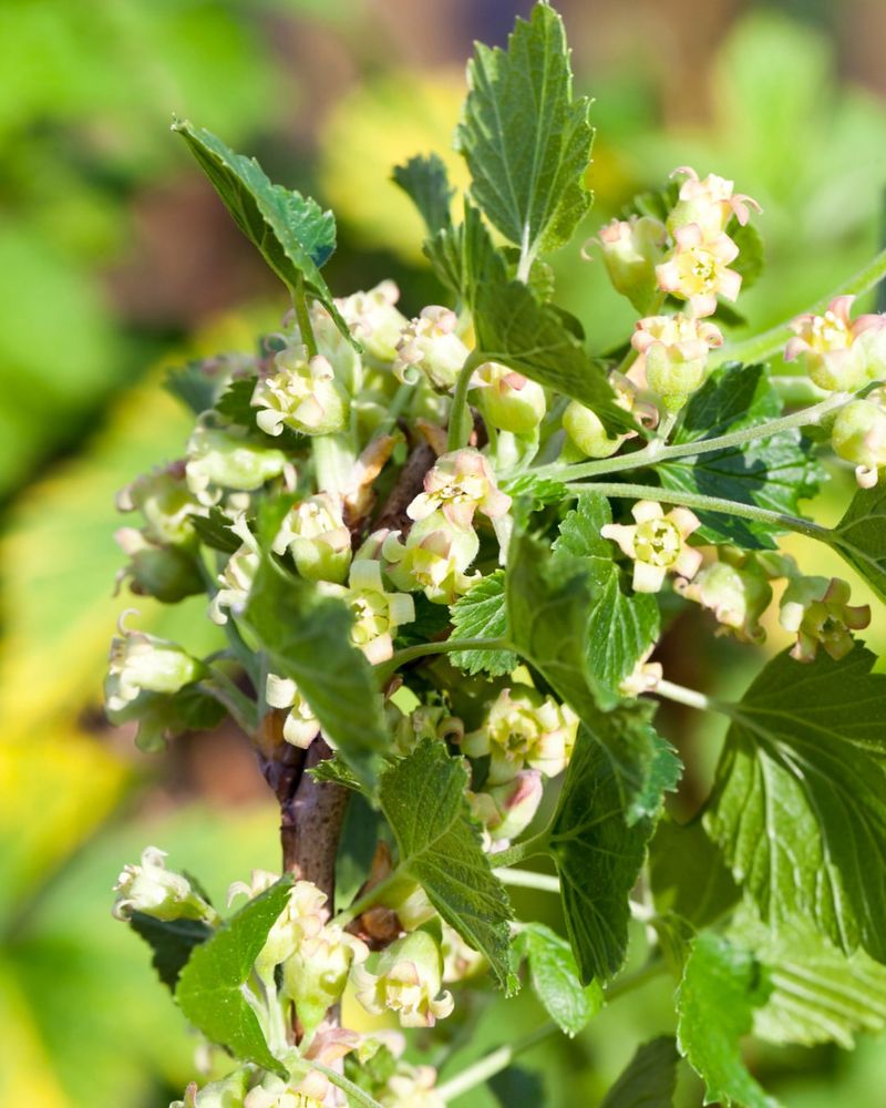 Skip Spots That Bake In Harsh Afternoon Sun