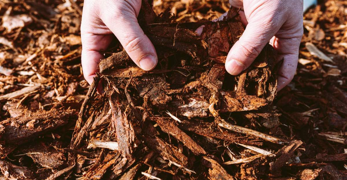 mulch (featured image)