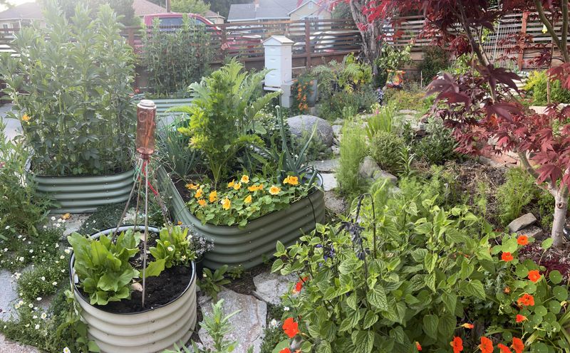 Pair Shade Providers With Heat Sensitive Vegetables