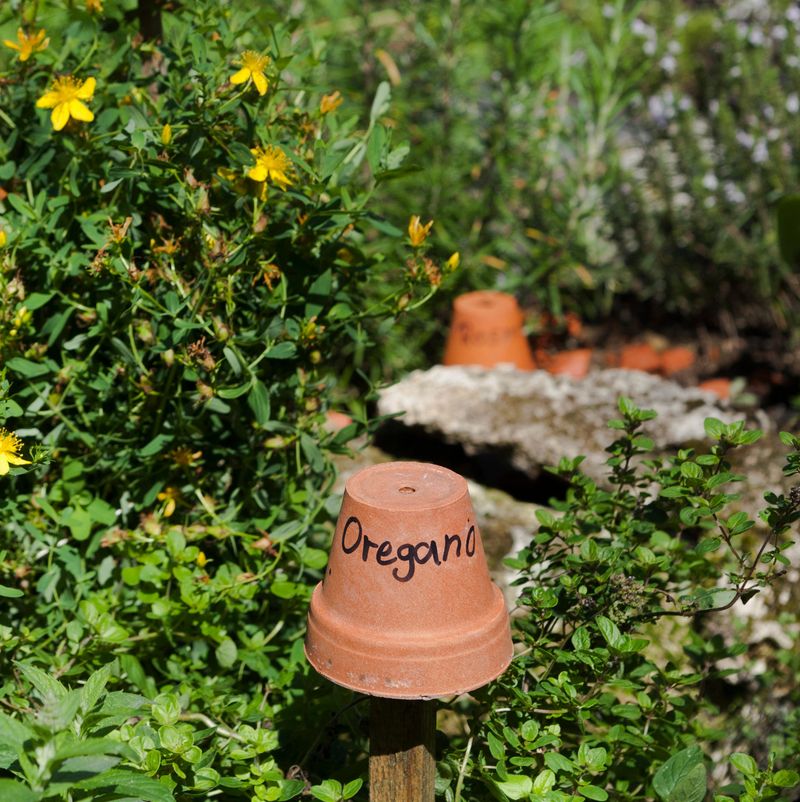 Turn Old Pots Into Simple Plant Labels