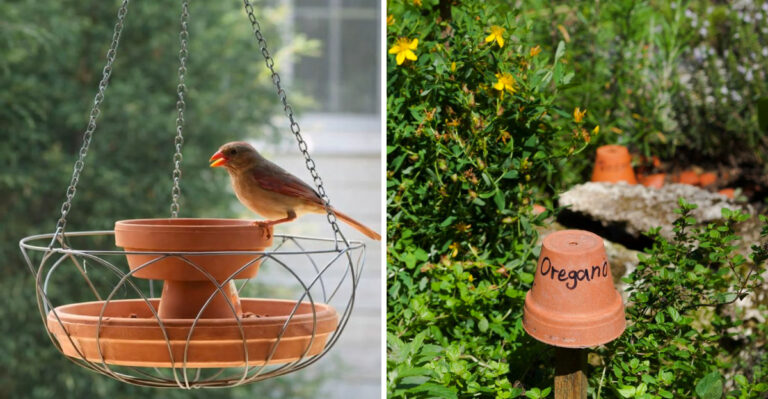 7 Creative Ways Oregon Gardeners Are Reusing Old Flower Pots