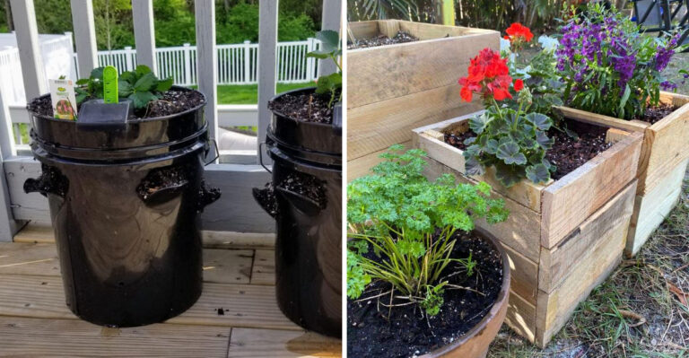 buckets and wood crates as planters