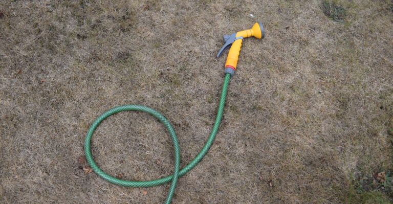 Garden hose lying unused on a dry lawn