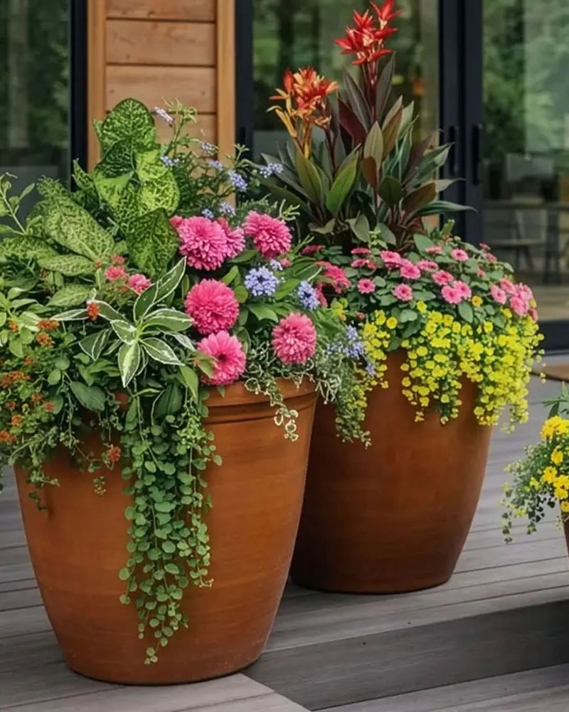 Match Plant Count To Container Size