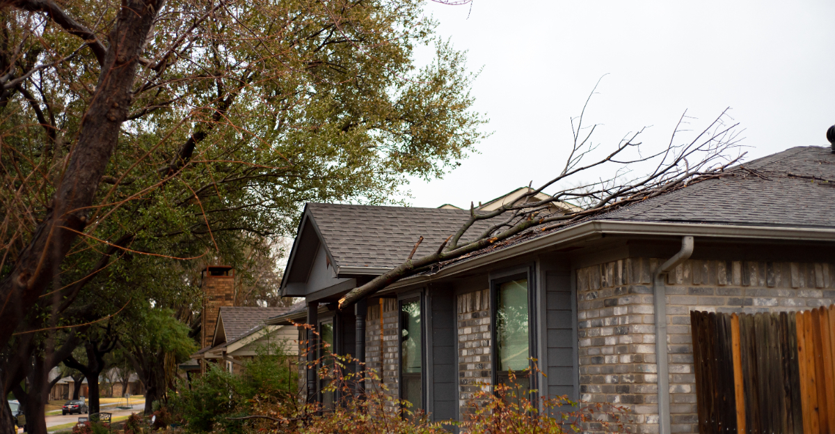 fallen broken maple tree branch damaged on roof of suburban houses