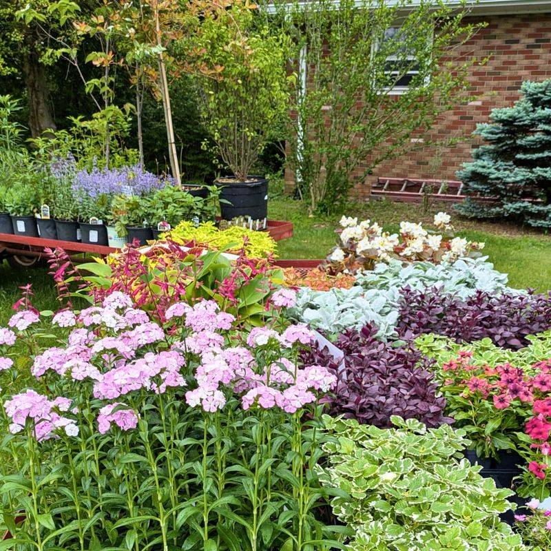 Layer Perennials And Annuals For Season-Long Color