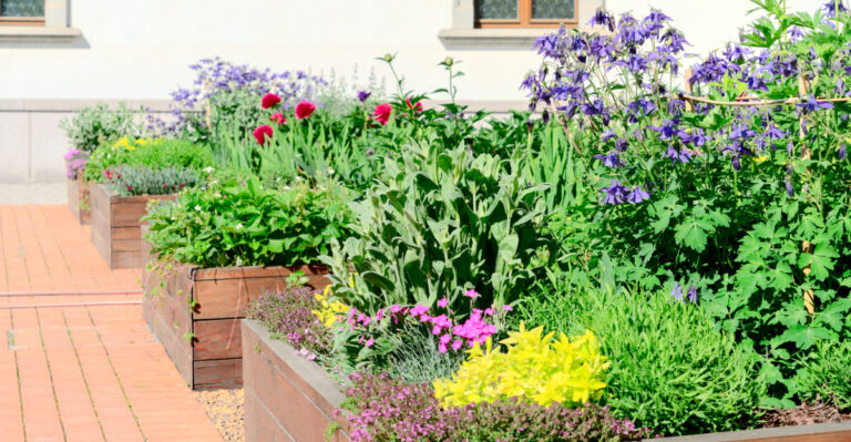 flowers (featured image)