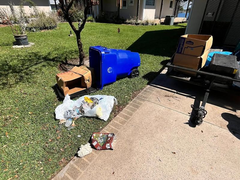 Trash Cans Tipped Over Or Lids Pulled Off Overnight