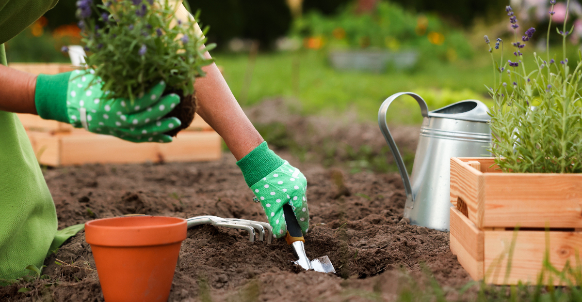 planting (featured image)