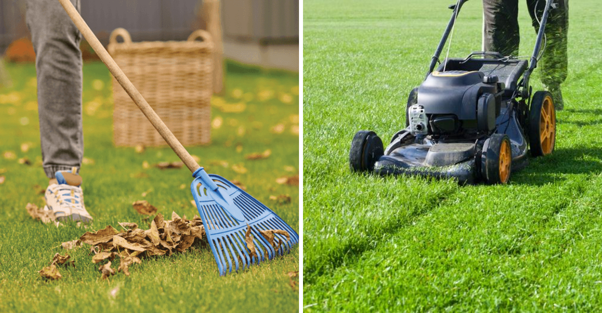 cleaning and mowing lawn