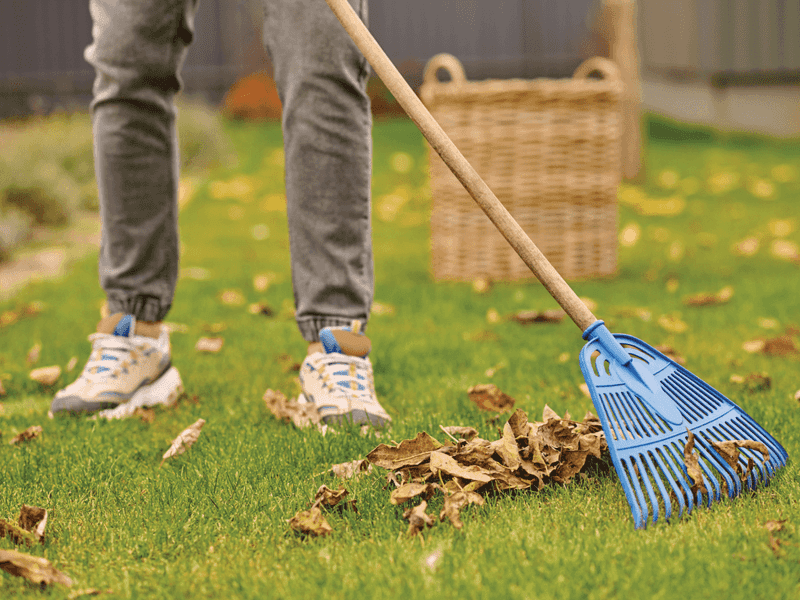 Start With A Spring Cleanup