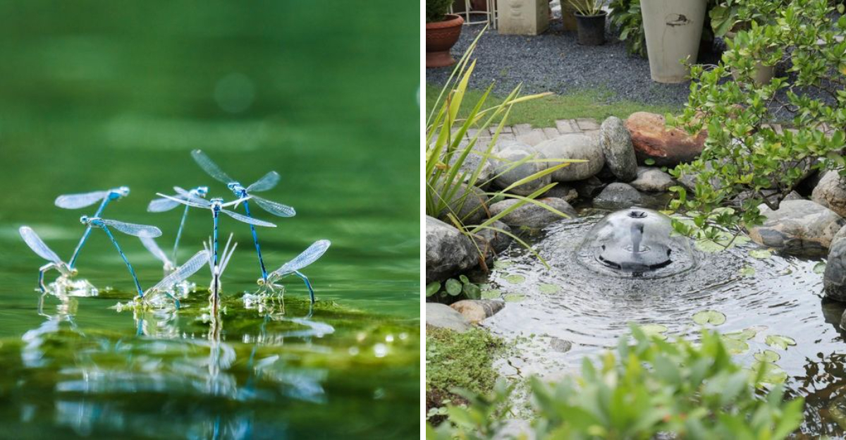 mosquito and yard fountain