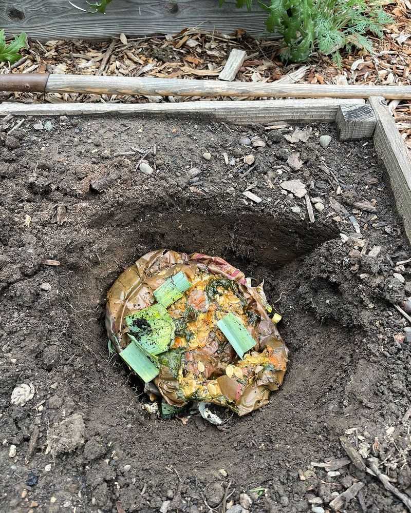 Start A Compost Pile With Fruit And Vegetable Scraps