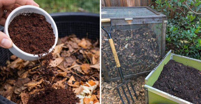 7 Ways To Turn Kitchen Scraps Into Garden Gold In Georgia