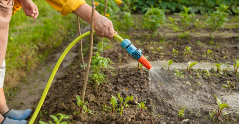 8 April Mistakes Texas Gardeners Make Every Year And How To Avoid Them