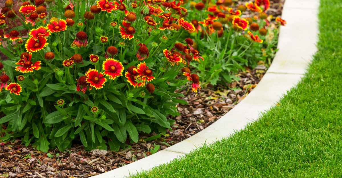 flower bed edging