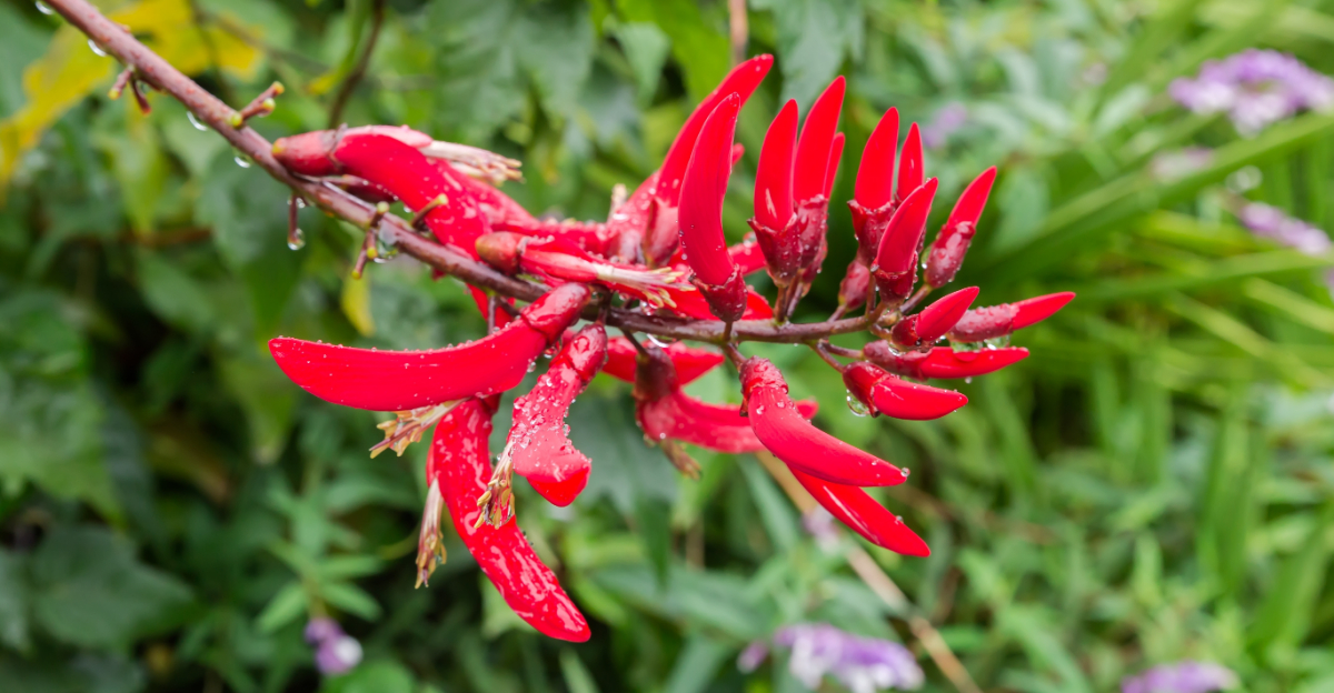 8 Native Florida Shrubs To Plant Instead Of Azaleas In Full Sun Yards