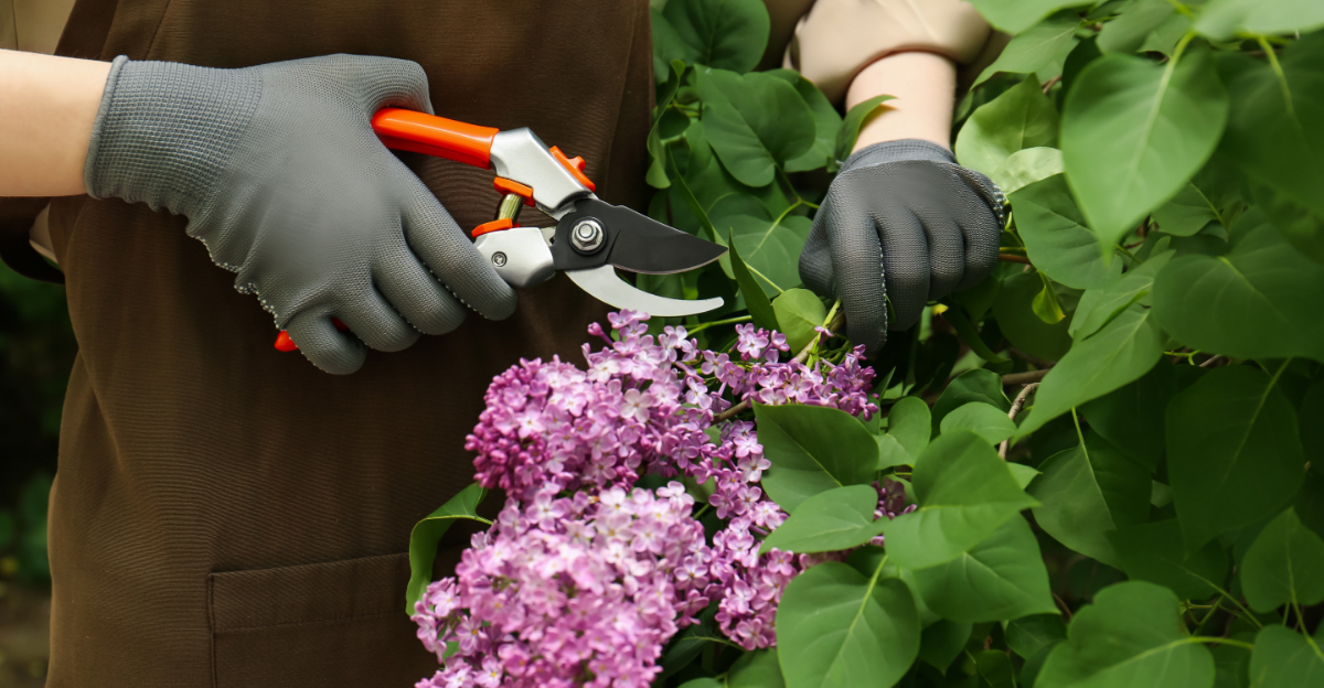 8 Plants Oregon Gardeners Should Prune In Late Spring