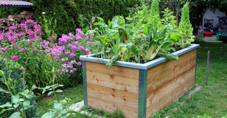 raised bed