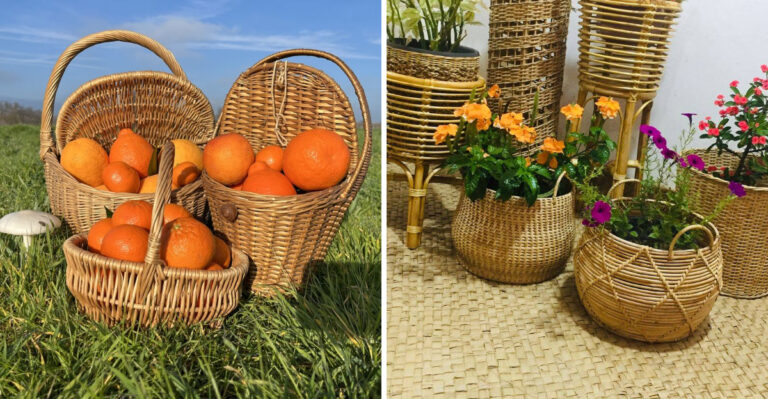8 Repurposed Basket Ideas For Your Arizona Garden