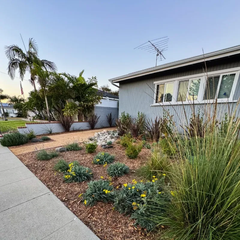 Add Drought-Tolerant Plants