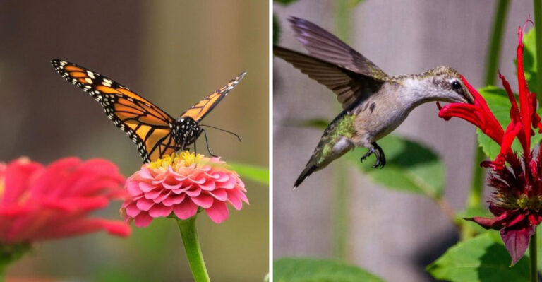 9 Simple Plant Swaps That Bring More Pollinators Into Your Georgia Garden