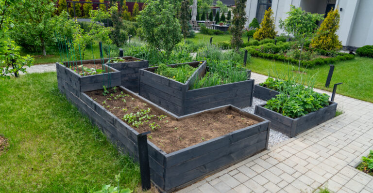 raised bed