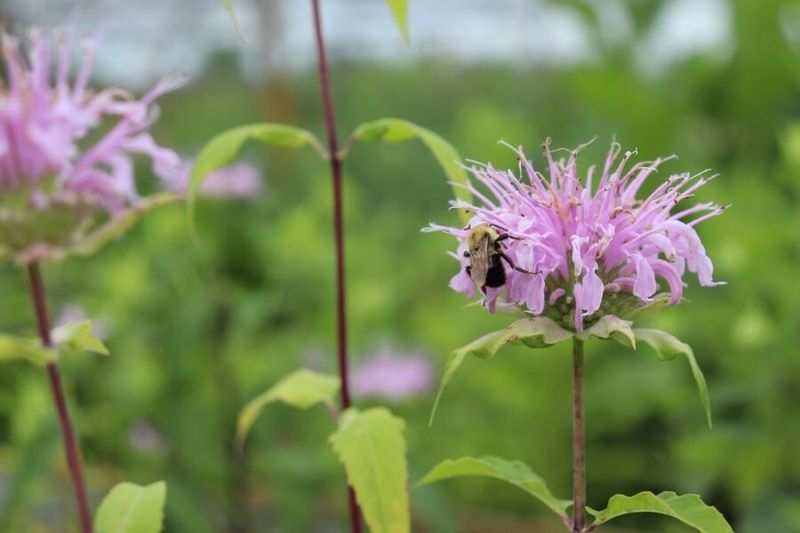 Low Effort, High Reward Color