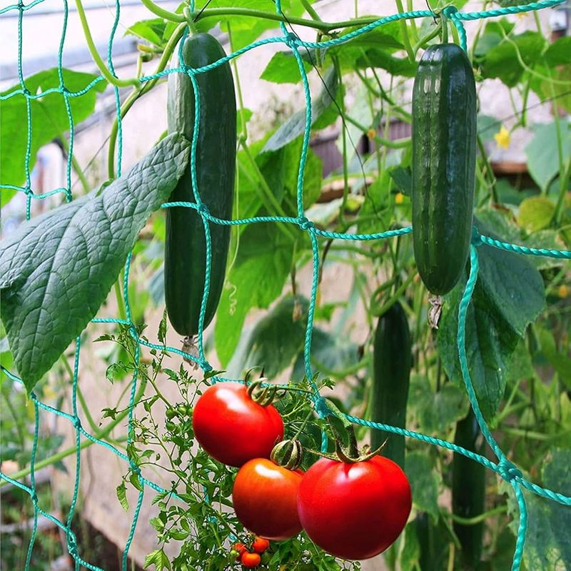 T-Post And Garden Netting Trellis