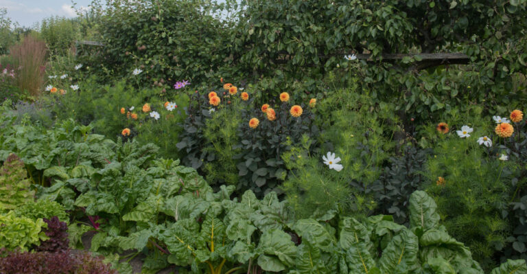 A Simple Guide To Companion, Trap, And Cover Crops For Michigan Home Gardeners