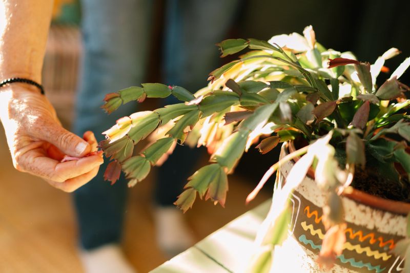 Pruning Or Pinching For Branching