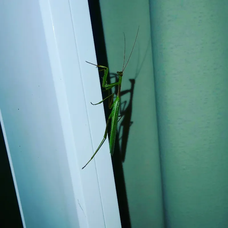 Good Luck And Positive Energy Are On The Way