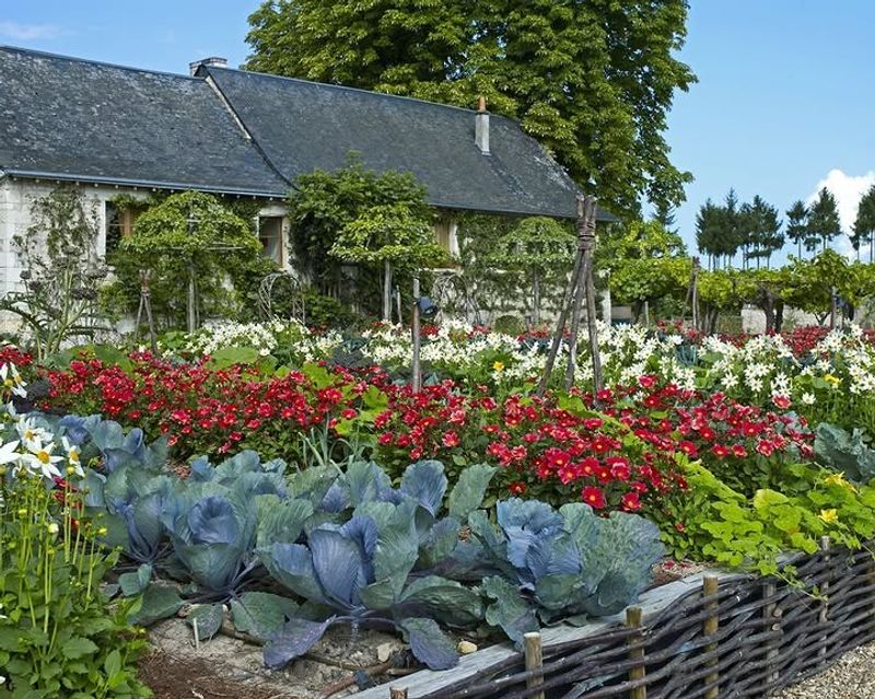 Mix Ornamental Plants With Edible Greens